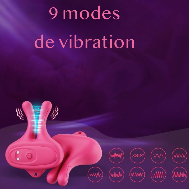 Pinces vibrantes BDSM 2 en 1 pour tétons et clitoris 9 modes de vibration détachable rechargeable USB