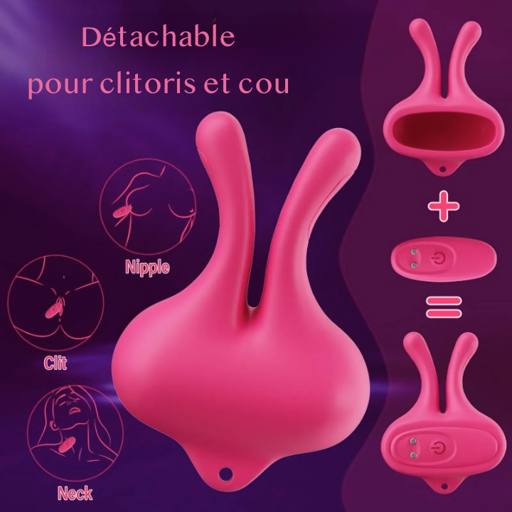 Pinces vibrantes BDSM 2 en 1 pour tétons et clitoris 9 modes de vibration détachable rechargeable USB